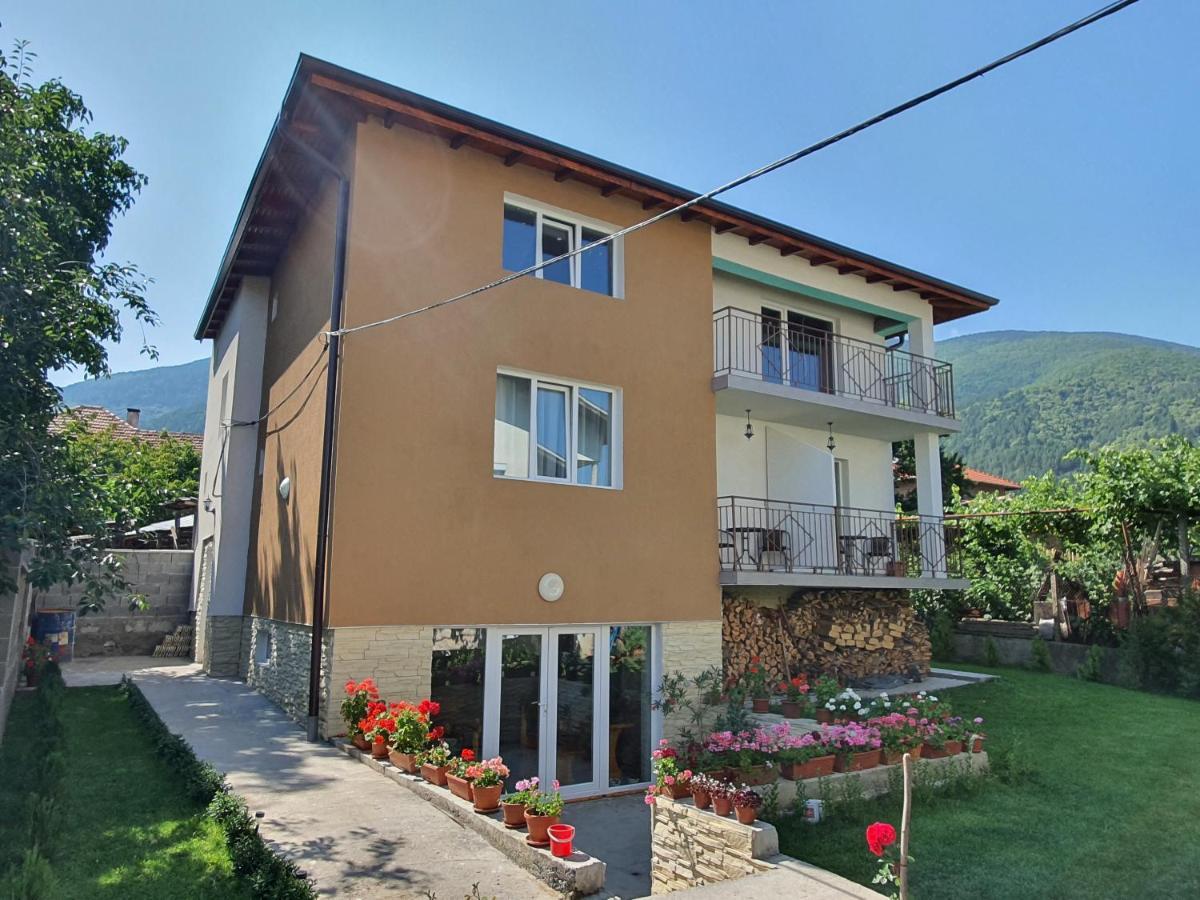 Hotel Дамяновата Къща Sapareva Banya Esterno foto